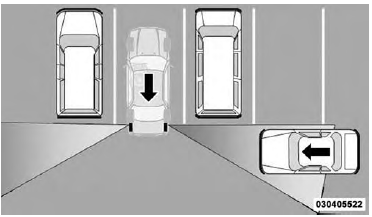 RCP Detection Zones