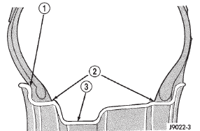 Fig. 1 Safety Rim